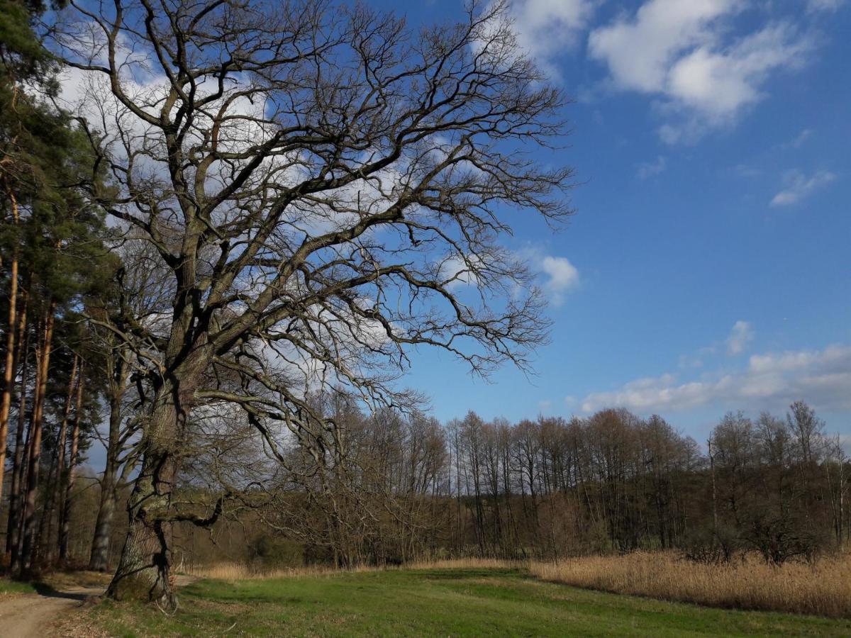 Mirabellenhof-Fewo Mit Terrasse Biesenthal Bagian luar foto